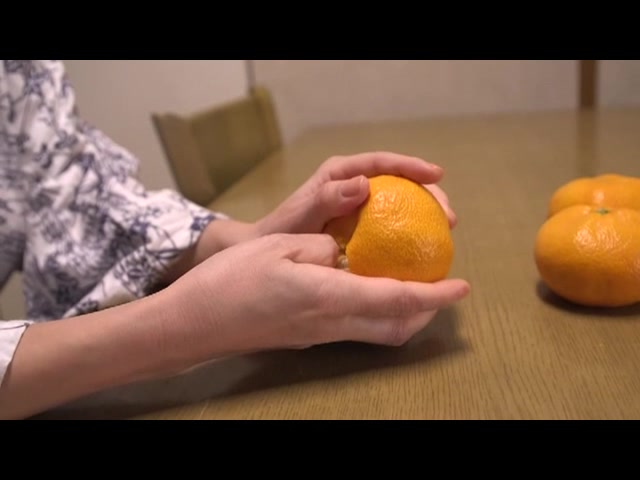 真・異常性交 四十路母と子 其の拾七