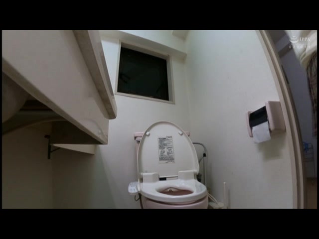 【便所に潜む闇】トイレ盗撮 ガチ排尿ショット80連発