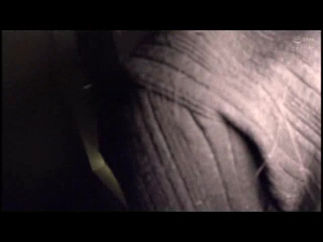 【過去最強に興奮したSEX】ギャル人妻ナンパ！！ 気が強い女はアルコール入れると…