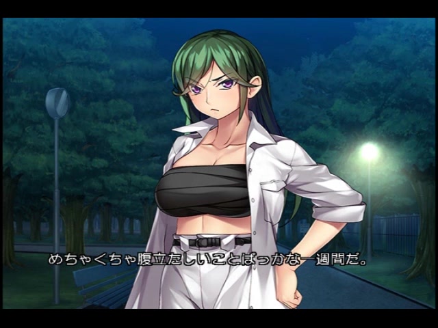 タイマン上等！？ヤンキー娘を肉穴化〜不良でもあっちの具合は良好です〜 PLAY MOVIE